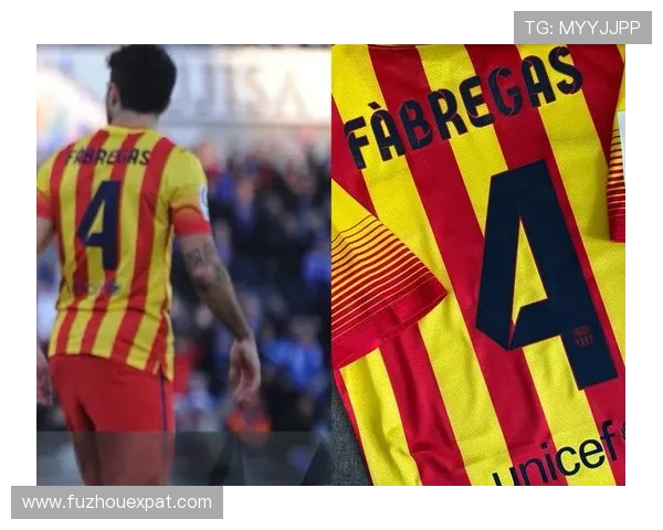 法布雷加斯:我们必须明白自己不是巴萨,还需要不断改进 法布雷加斯:我们必须明白自己不是巴萨,还需要不断改进