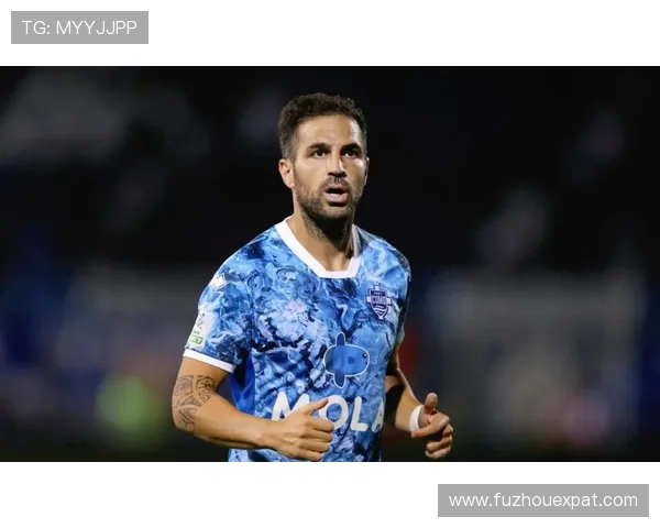 法布雷加斯38岁仍颠覆意甲震惊全场 法布雷加斯38岁仍颠覆意甲震惊全场