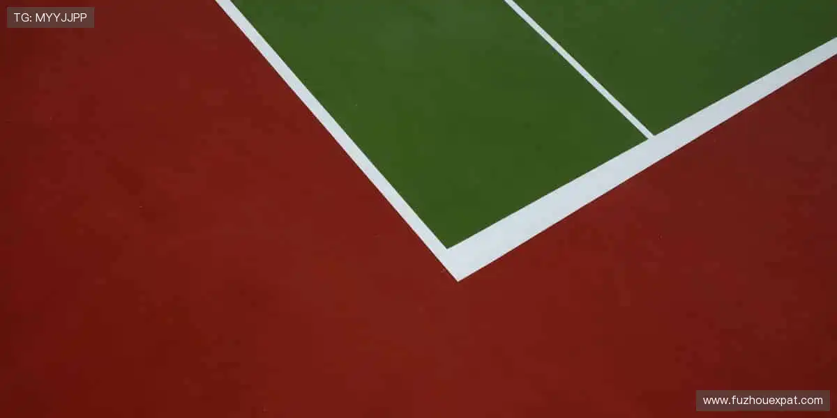 高清画质，身临其境的观赛体验🎥👀